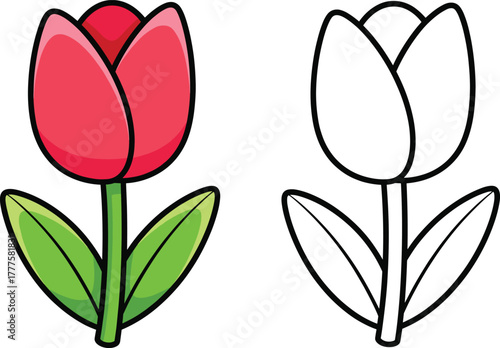 Cartoon tulip flower illustration set, colorful and outline versions with red petals and green stem, spring theme, vector clipart, design asset