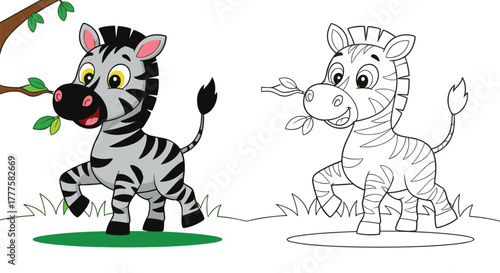 Cartoon zebra character illustration set, playful pose with tree branch and grass, full-color and outline versions, animal theme, vector clipart