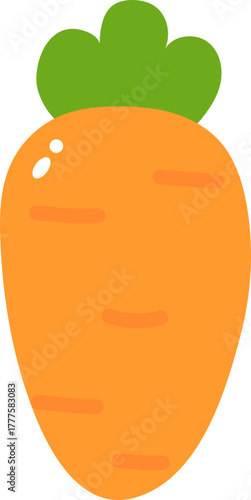 Cute Healthy Carrot