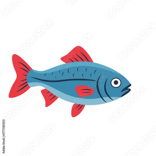 Vector illustration of adult fish, colorful aquatic animal representing mature stage of fish life cycle, biology and education concept