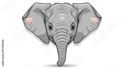 A baby elephants head rendered in a 2D illustration style