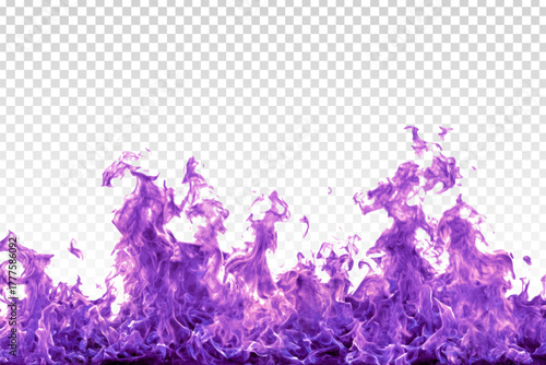 Vector purple magical fire isolated on the transparent background.