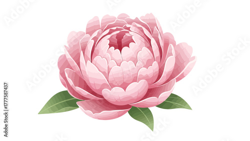 A closeup digitally rendered pink peony with green leaves against a white background