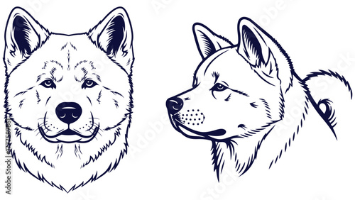 Akita Dog Front And Side Head Views, Black And White Line Art Dog Portrait Vector For Working Breed Posters And Kennel Graphics
