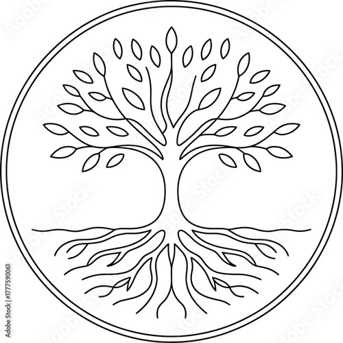 Outline Tree of Life in Circle roots branches