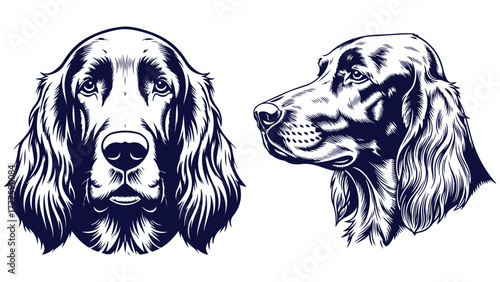 Irish Setter Dog Front And Side Head Views, Black And White Outline Portrait Vector For Sporting Dog Branding And Breed Education