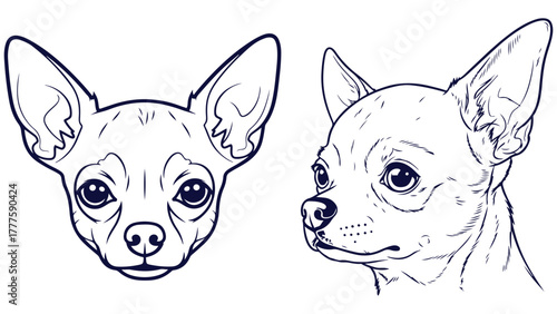 Chihuahua Dog Front And Side Head Views, Black And White Outline Portrait Vector For Toy Breed Posters And Pet Boutique Branding