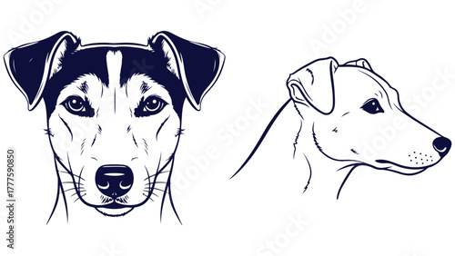 Jack Russell Terrier Dog Front And Side Head Views, Black And White Outline Portrait Vector For Energetic Pet Branding And Stickers