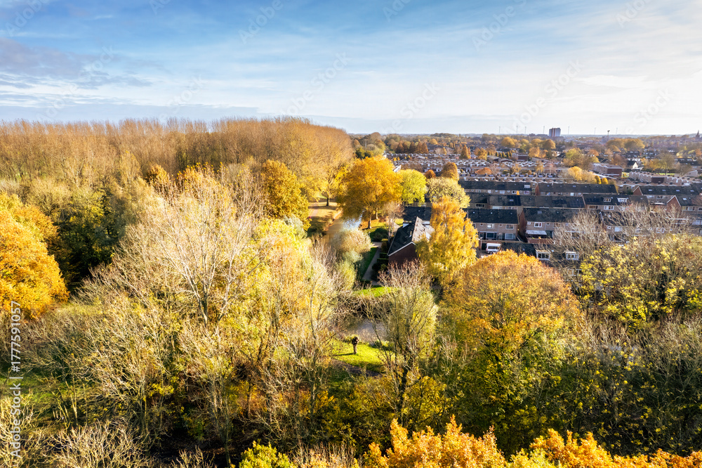 Fototapeta premium Autumn landscape featuring colorful trees and neighborhood view in a tranquil setting during daytime