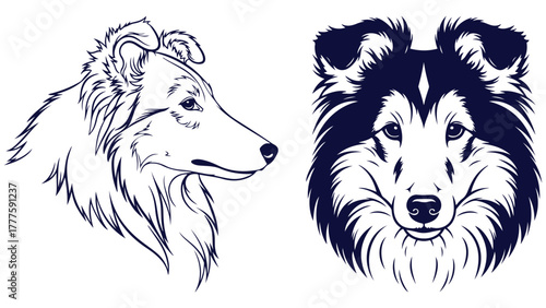 Shetland Sheepdog Dog Front And Side Head Views, Black And White Outline Portrait Vector For Herding Breed Guides And Pet Labels