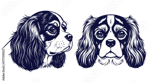 Cavalier King Charles Spaniel Dog Front And Side Head Views, Black And White Line Art Portrait Vector For Toy Breed Branding