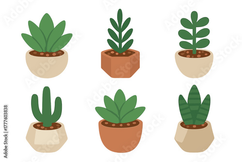 Collection of six stylized indoor succulent plants in modern geometric pots