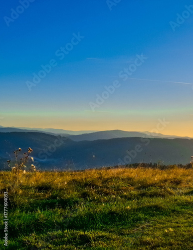 Meadow on a Blotnia Mountain. Beskides.