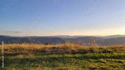 Meadow on a Blotnia Mountain. Beskides.