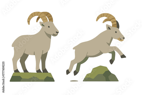Two mountain goats standing and leaping on rocky terrain isolated on white background