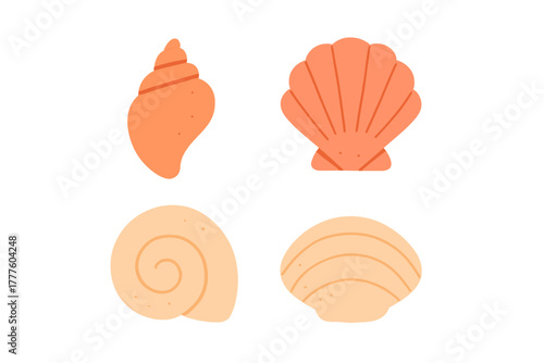 Detailed set of various marine seashells including scallop and conch shells