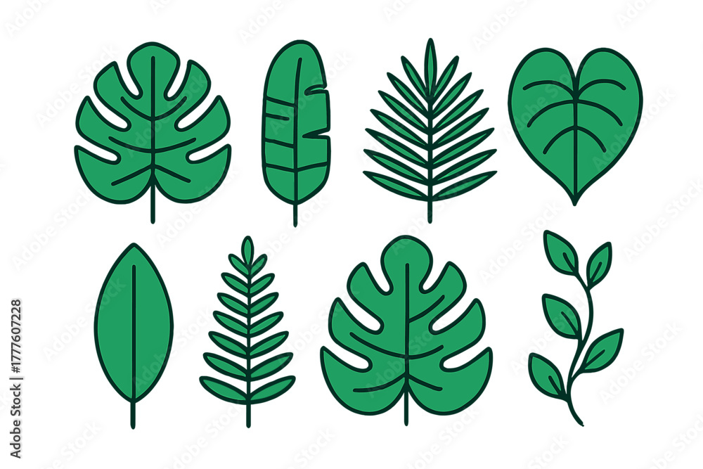 Fototapeta premium Collection of diverse tropical foliage elements including palm, monstera, and banana leaves