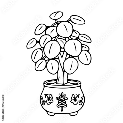 Chinese Money Tree Symbol Of Prosperity