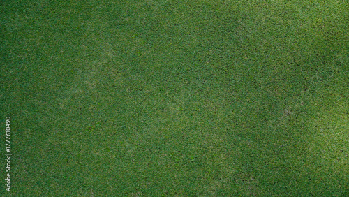 Green grass background, top view background of garden bright grass concept used for making green backdrop, lawn for sports field.