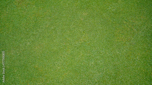 Green grass background, top view background of garden bright grass concept used for making green backdrop, lawn for sports field.