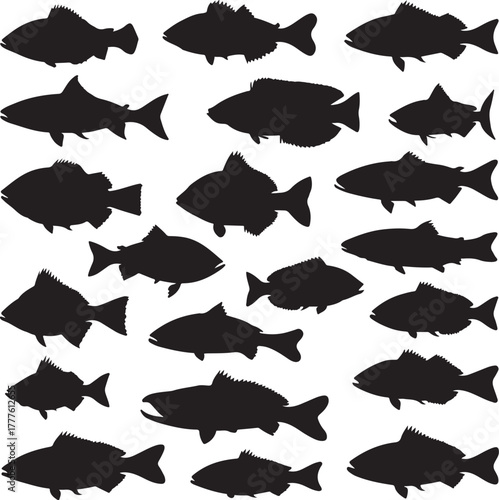 Collection of Twenty Black Silhouettes of Various Fish Species on a White Background aquatic animal