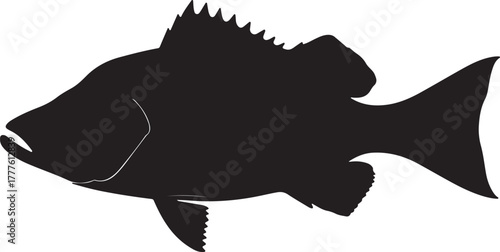 Detailed black silhouette of a fish with prominent fins and tail on a white background vector illustration