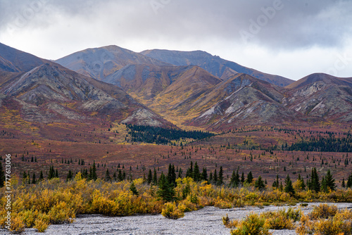 Fall Colors in Alaska