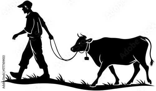 Silhouette of Cow Walking with Farmer – Rural Livestock Scene