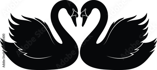 Black swan love vector illustration for wedding and valentine