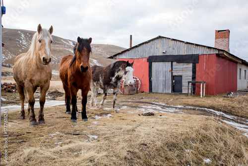 La Gesta Del Carbón