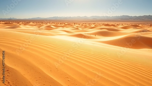 tennessine. Desert landscape with heat waves distorting the view of distant mountains. travel magazines, destination branding, designed for travel destination branding, used by health educators.