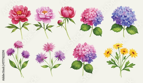 Watercolor Floral Assortment Delicate Peonies, Hydrangeas, and Thistles on a Soft Background
