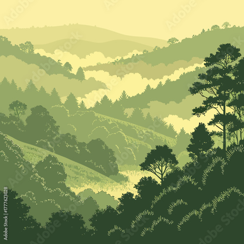 Misty forest landscape at sunrise