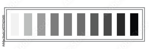 Grayscale colors on black and white. Monochrome palette .Vector illustration EPS 10 .