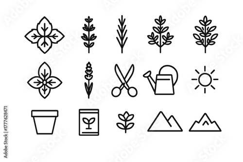 Alpine Herb Garden Icons. Herb garden at altitude. Line outline icon set of herb garden at altitude: mint,