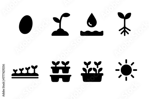 Seed Growth Icons. Seed Germination. Filled icon set of Seed Germination: seed, sprout emerging, moist soil,