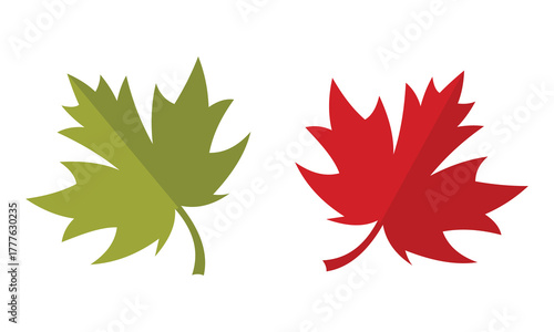 Autumn leaf icons, Foliage of maple symbol. National Canadian emblem. Set of colourful maple leaf designs isolated on white background. Vector illustration.
