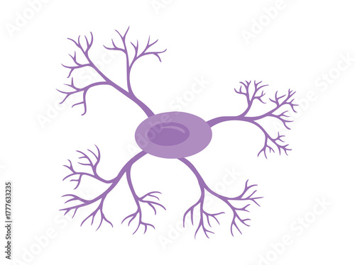 hand drawn microglia glial cell