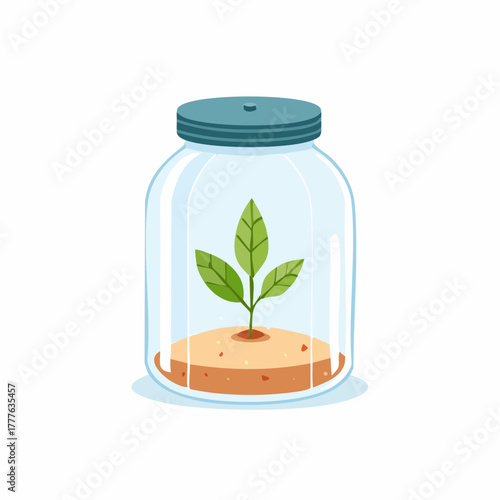 Small plant inside a closed glass jar terrarium with soil underneath