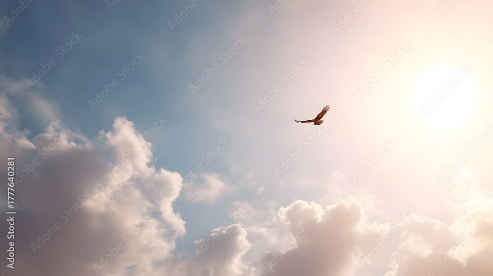 Obraz premium An eagle or hawk with wings outstretched glides through a vast open sky under bright sunlight surrounded by soft illuminated clouds suggesting ambition and wild freedom