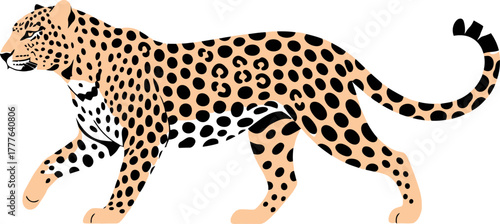Leopard Walking Side View Illustration Isolated on White