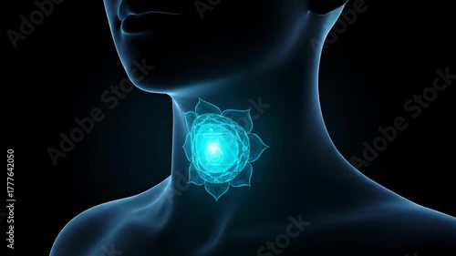 throat chakra in 3d animated chakra anatomy