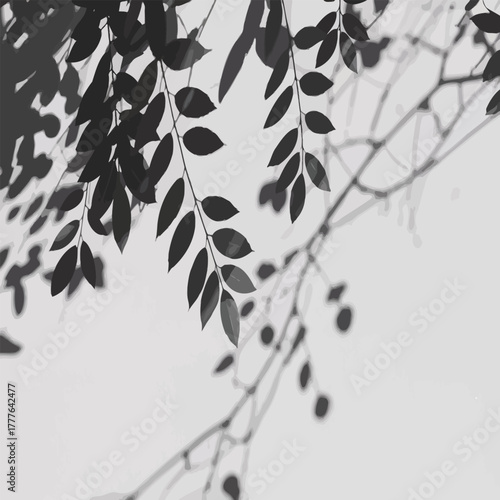 Natural leaves and subtle shadows, light and shade interplay.