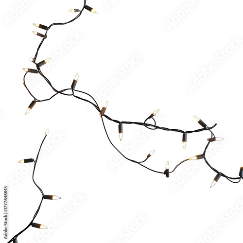 String of warm white fairy lights on black wire with visible bulbs and connectors against a white background.