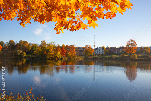 Bright sunny autumn landscape . Autumn picture. Photo for the autumn calendar. High quality photo