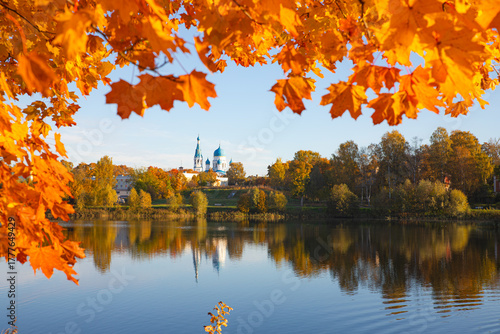 Bright sunny autumn landscape . Autumn picture. Photo for the autumn calendar. High quality photo