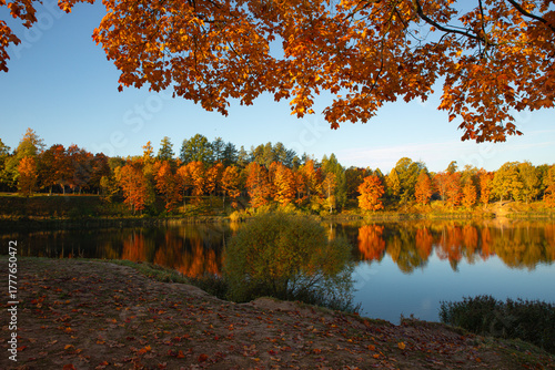 Bright sunny autumn landscape . Autumn picture. Photo for the autumn calendar. High quality photo