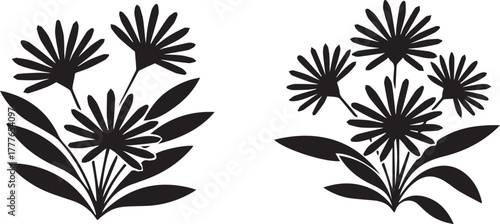 Two stylized black silhouette floral arrangements with delicate petals and leaves on a white background