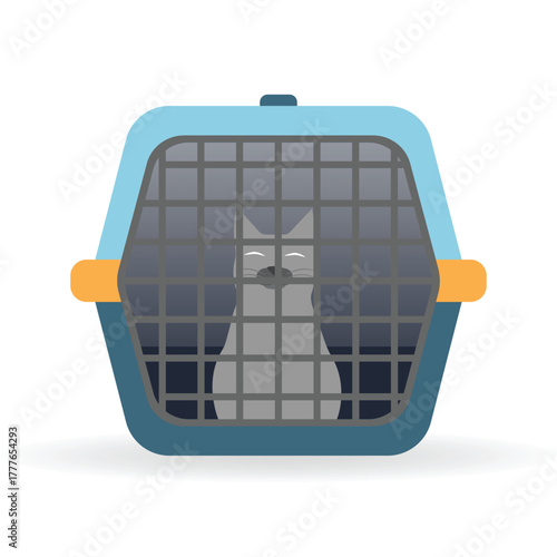 Cat in a pet carrier bag with bars