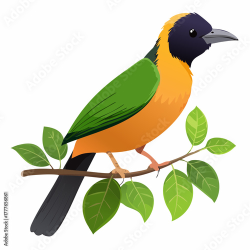 Magnifique oiseau tropical sur sa branche, isolé sur fond blanc, coloré vert, jaune, violet